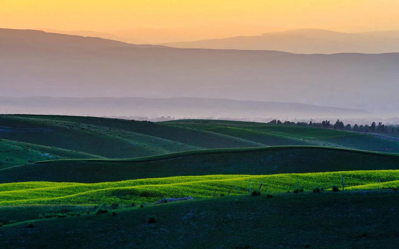 电子网络化高精度